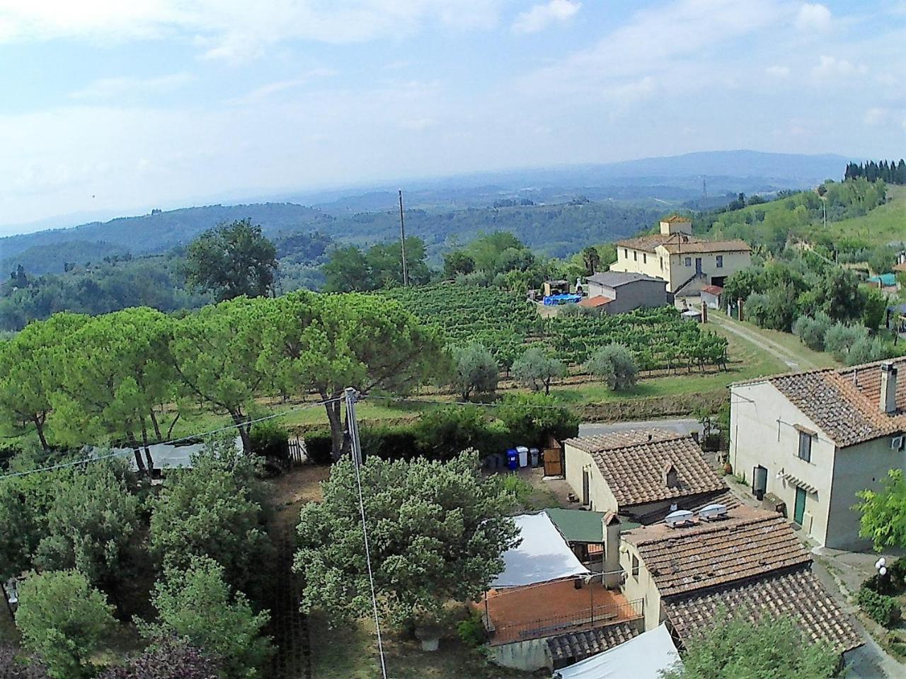 Ripabuia Marcialla